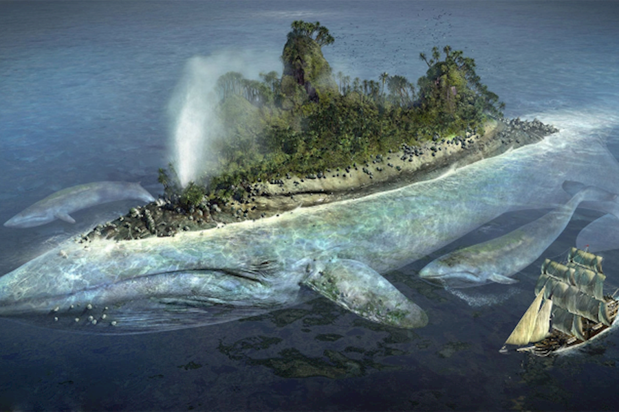 鲸鱼岛乐园展品