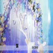 佰丽菲婚礼策划