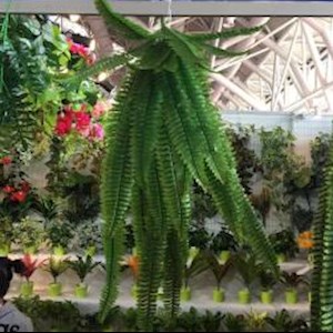 深圳市小花篮园艺有限公司