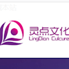 深圳灵点文化传媒有限公司