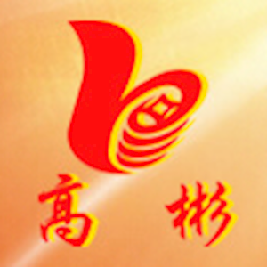 深圳市高彬企业投资有限公司