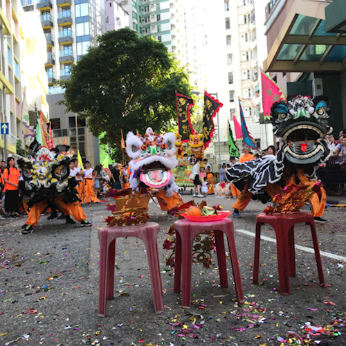 珠海市泳鸿龙狮体育会