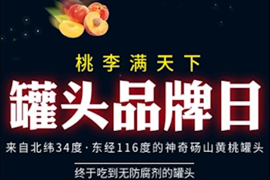 带澳飞-新品发布直播方案