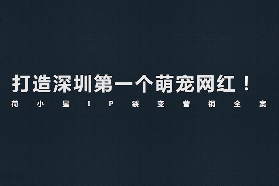 新媒体营销——荷小星IP裂变营销全案
