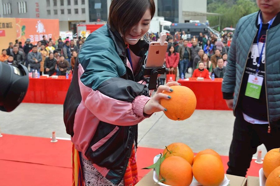 溆浦县2017年首届“脐橙节”暨电商扶贫产品推广会网红直播
