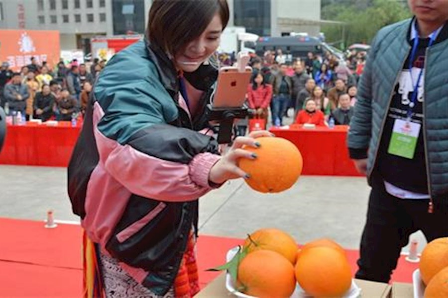 溆浦县2017年首届“脐橙节”暨电商扶贫产品推广