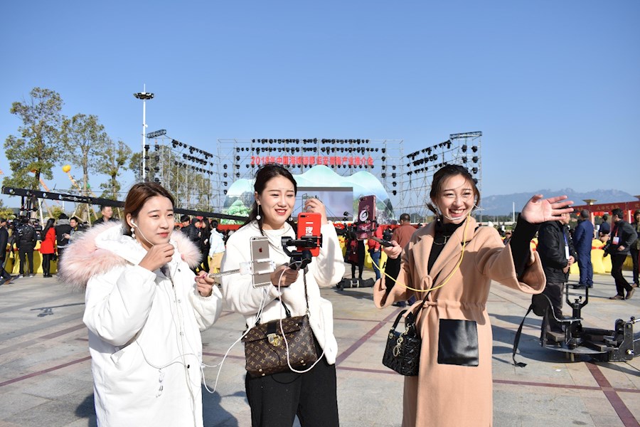 诏安青梅产品推介