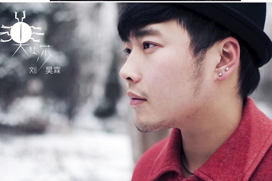 【好声音】刘昊霖音乐节演出