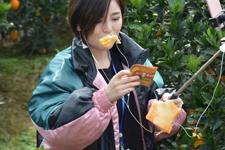 溆浦县2017年首届“脐橙节”网红推广直播执行