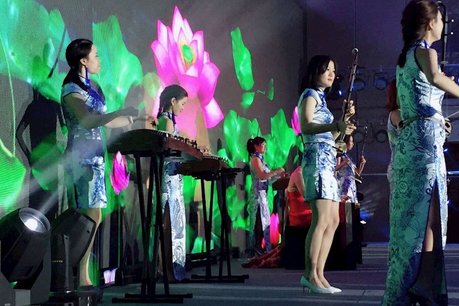 深圳晚宴晚会活动女子十二乐坊演奏