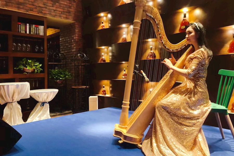 红酒品鉴会晚宴竖琴暖场表演活动