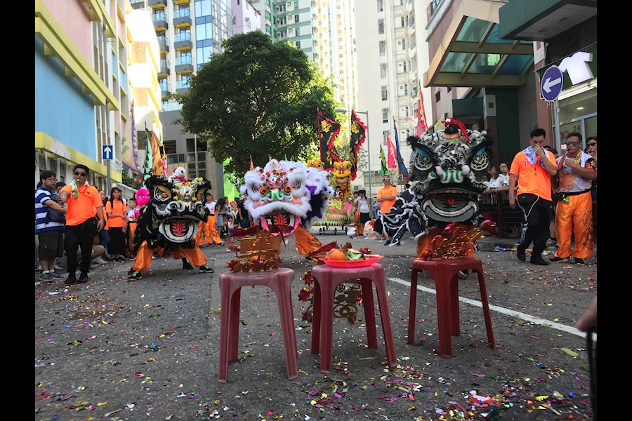 业务包括:开业典礼 晚会 庙会 婚礼宴会 醒狮周年庆典、楼盘落成典礼、商业表演等节目狮队服务