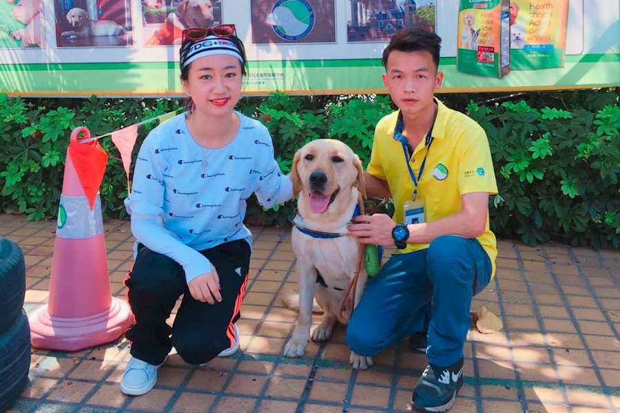 广州雷米高品牌携手一直播主播吴彦祖妹妹为导盲犬发声直播互动丨公益直播丨网红线下直播