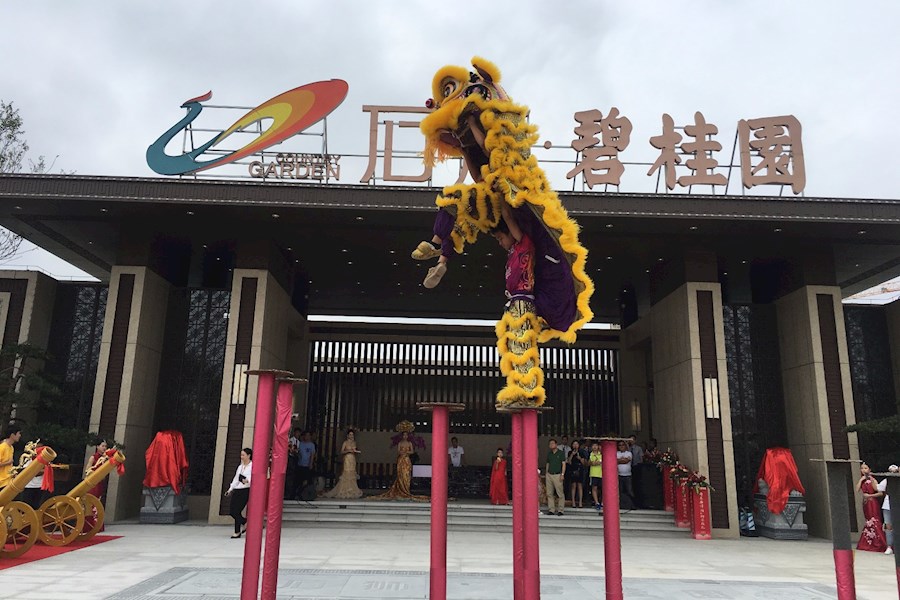 碧桂园舞狮表演