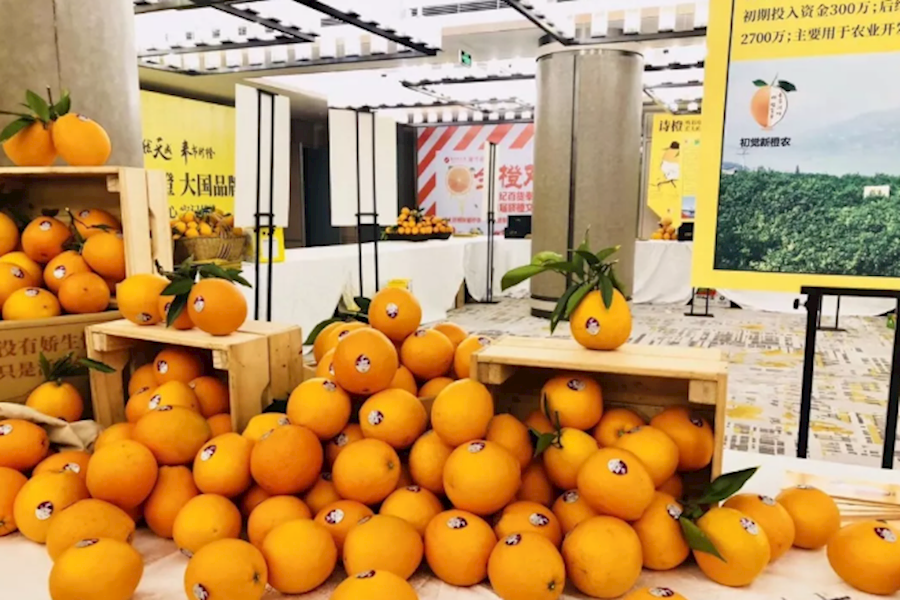 重庆奉节2017脐橙全国产销对接会直播