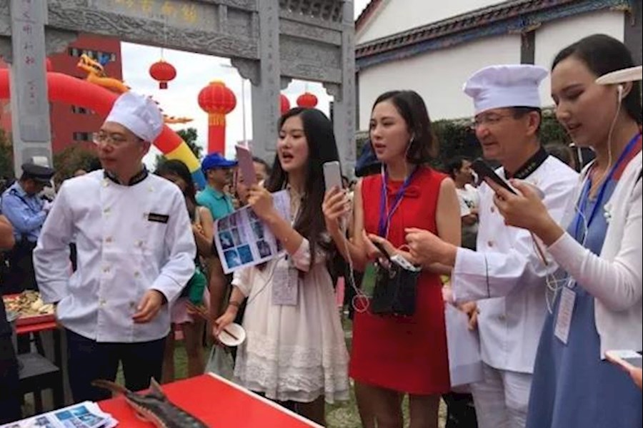 第14届中国·南华野生菌美食节直播推广