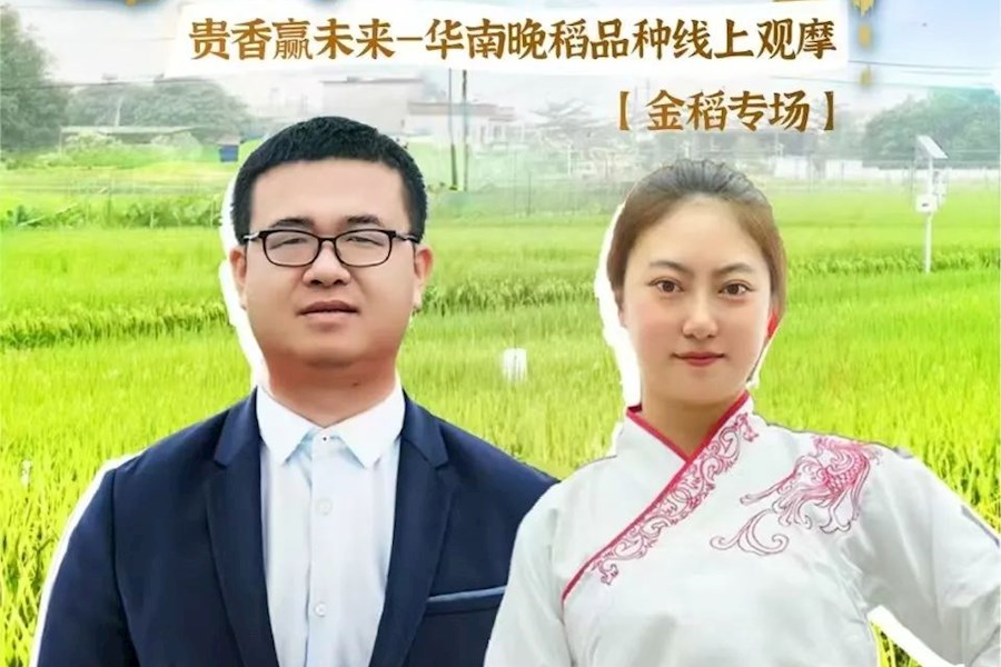 广东清远[大稻论剑]户外移动网络直播｜星米影像案例精彩回顾