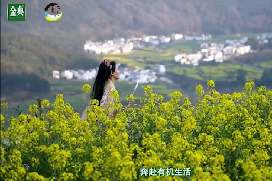 江西婺源景区金典有机牛奶多机位户外移动影像综合服务｜星米影像案例精彩回顾