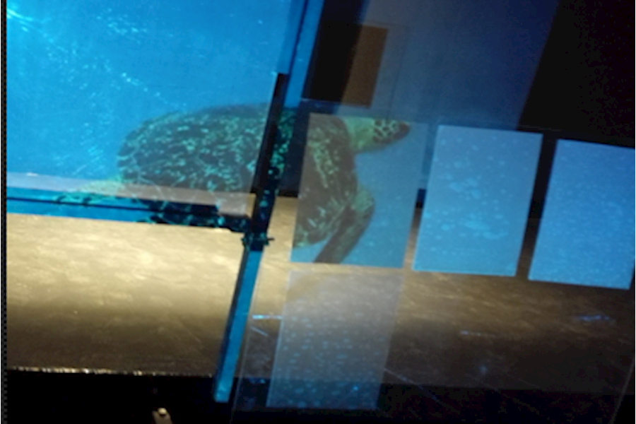  裸眼3D全息薄膜影像系统