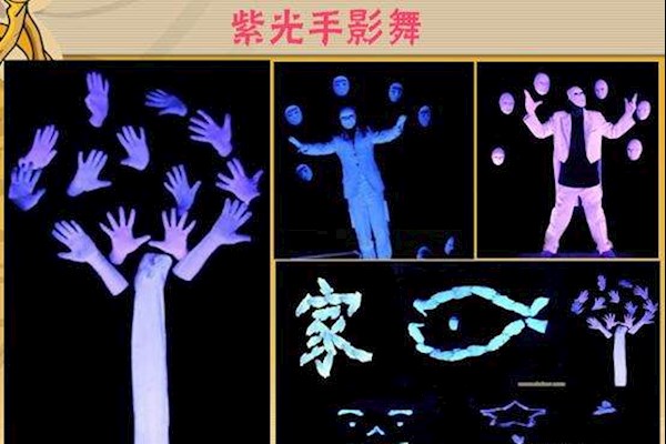 12月8，澳门晚宴，需要一个10人的紫光手影舞，还需要几名歌手