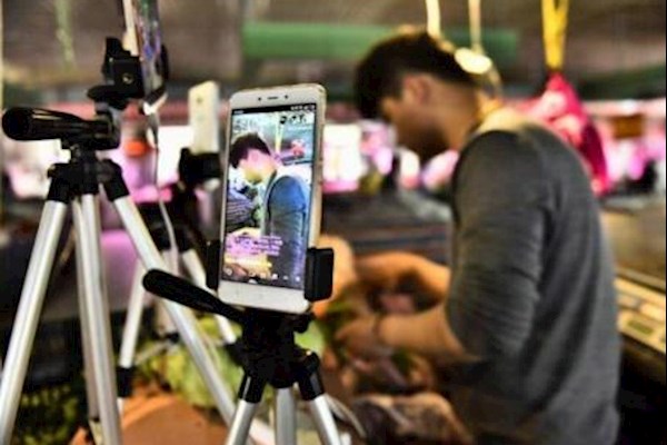 线下项目网红直播