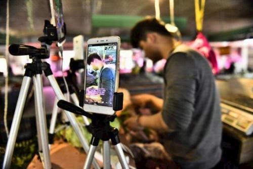 网红/直播资源合作