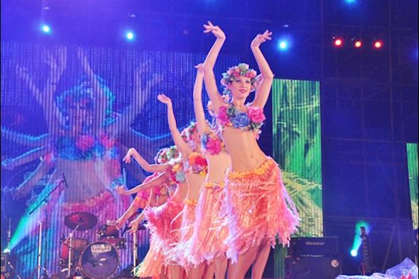 广州需要草裙舞公仔舞手鼓舞蹈