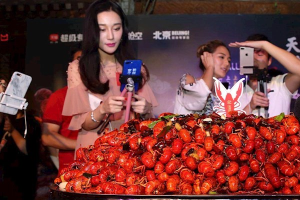 携程网活动网红线下直播