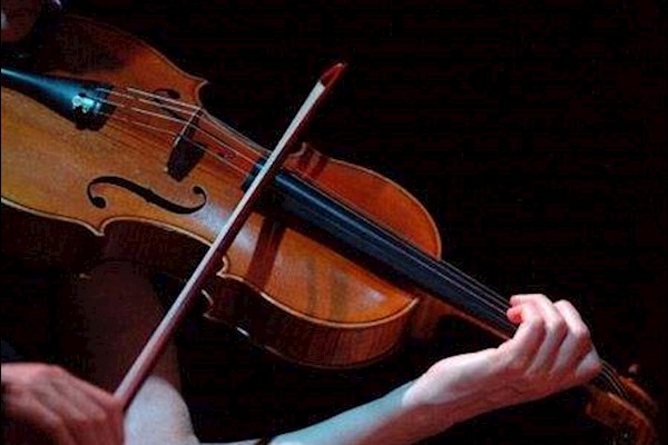 广州需要两名小提琴