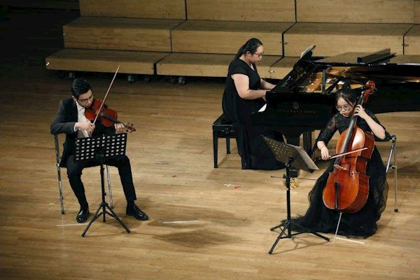 珠海需要大提琴和小提琴表演