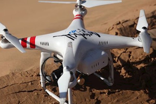 百色需要果园拍摄