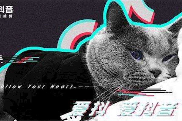 郑州近期需要抖音网红直播带货