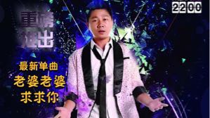 商演 原创歌曲火爆演出男歌手-刘新财