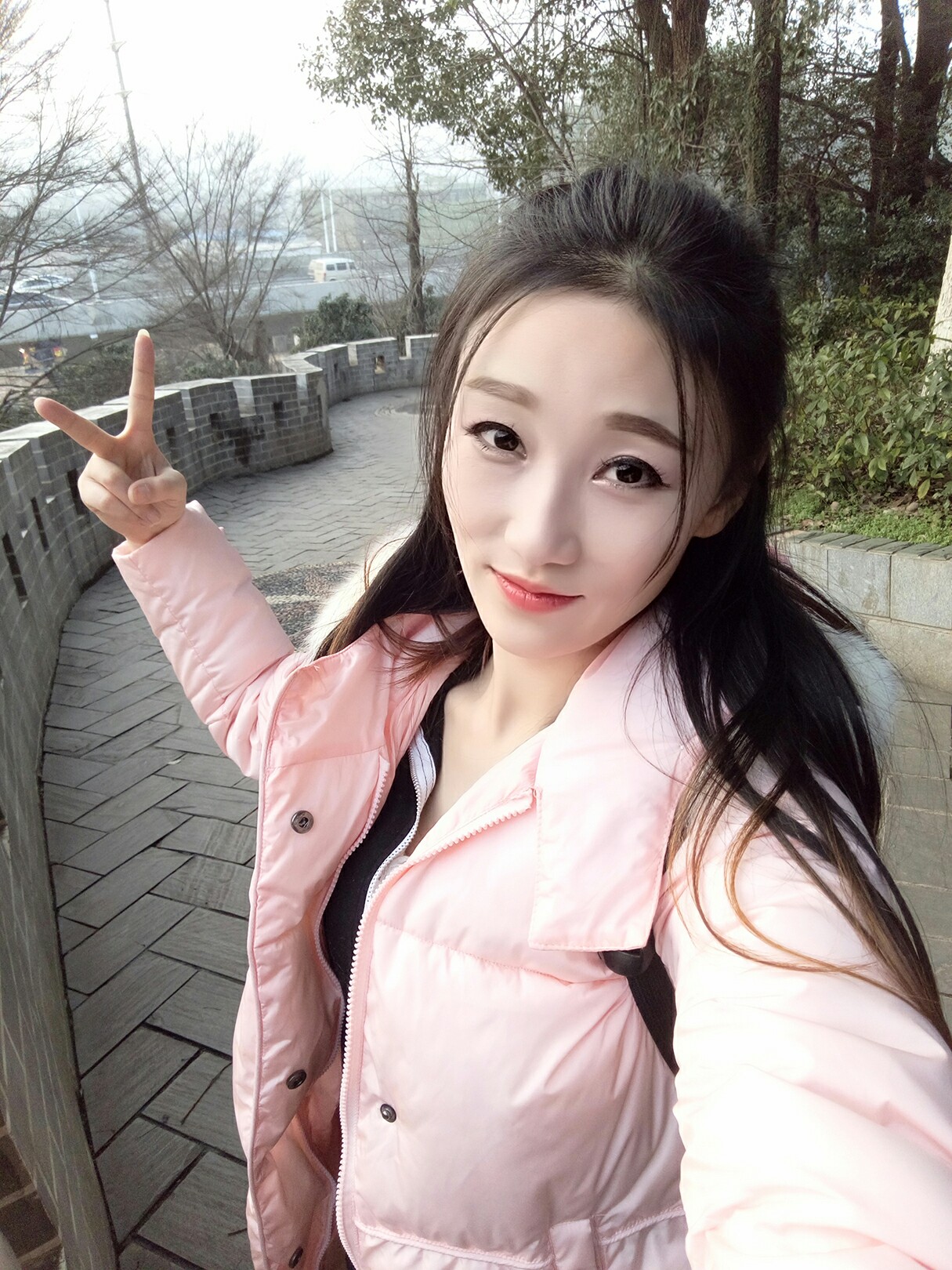 蚊子