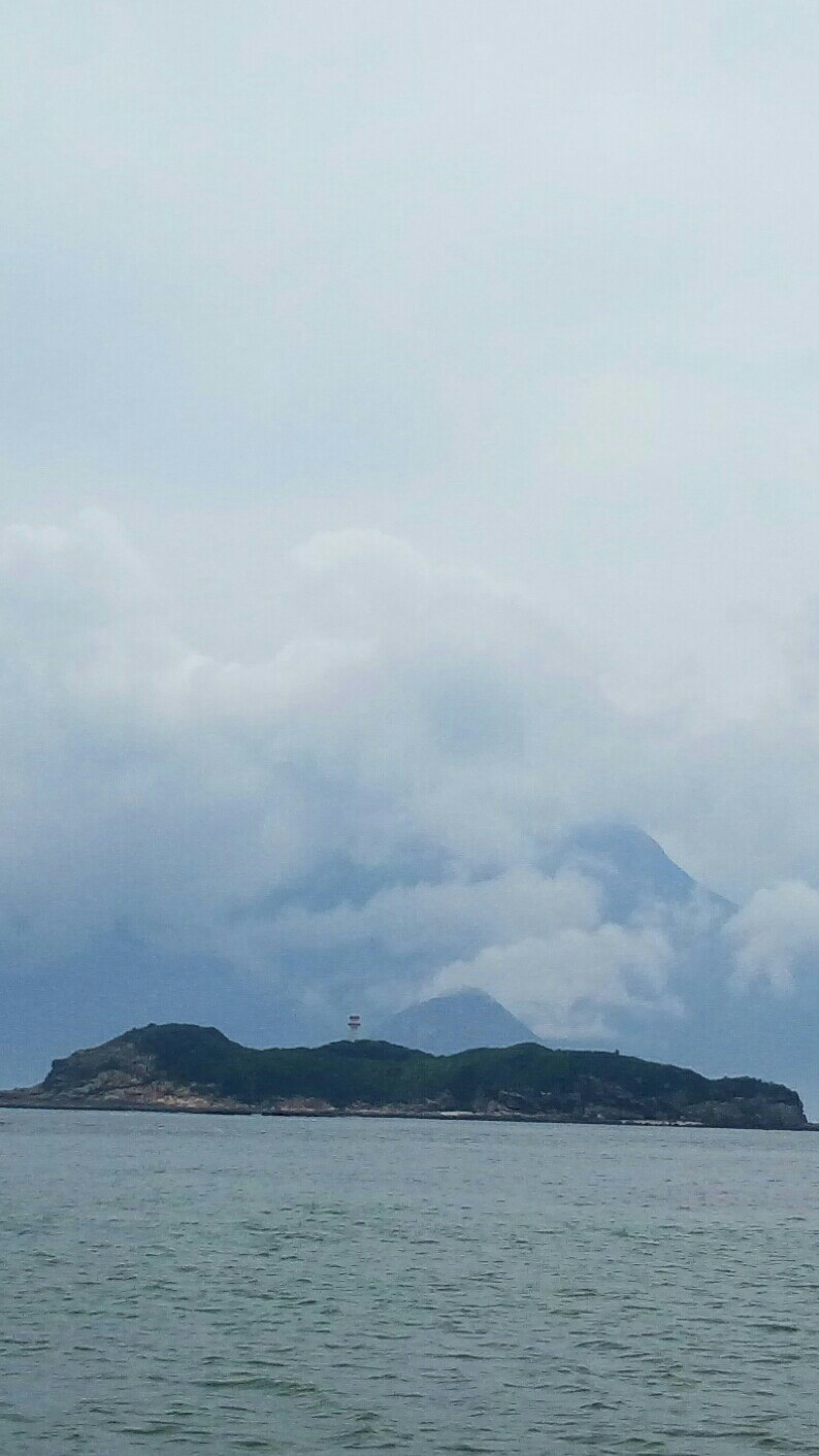何谋钊
