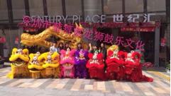 深圳舞狮，舞龙队