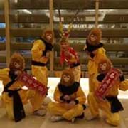 中原武术功夫团