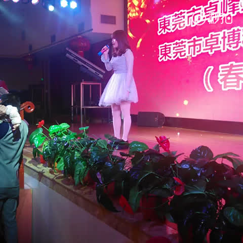 叶怡思