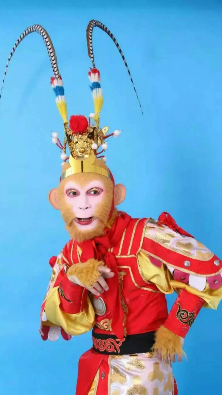 阳仔