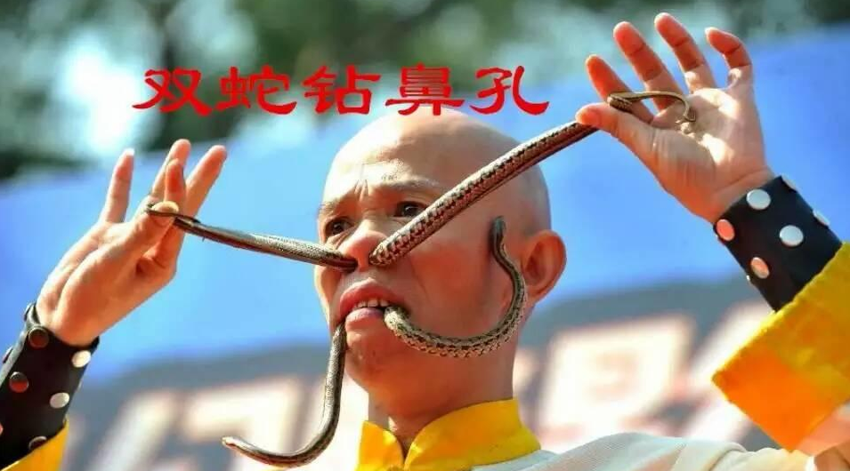 刘飞-亚洲蛇王-龙