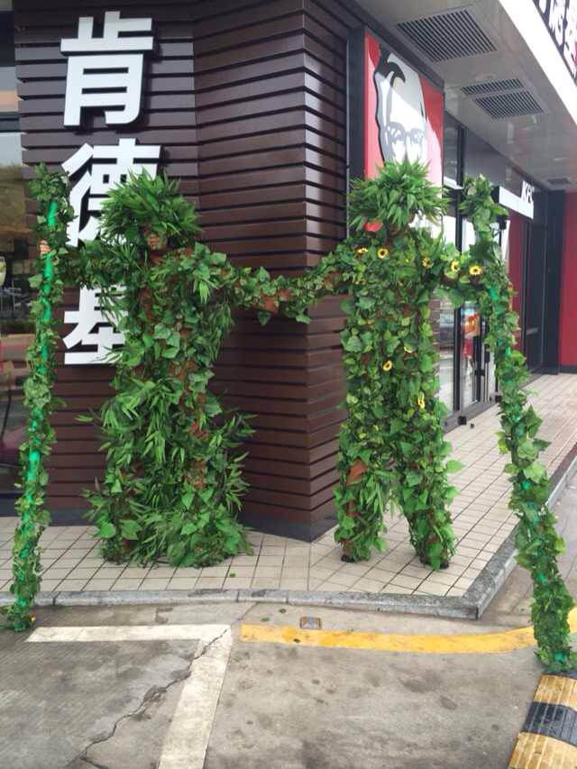 植物人树人暖场节目