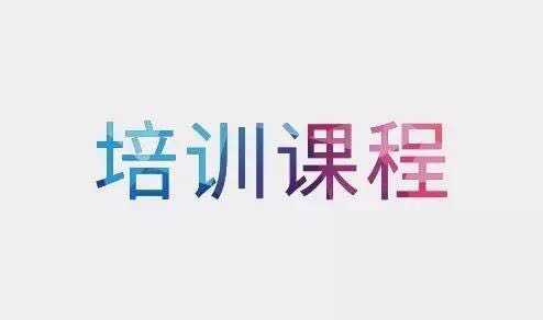 中视金鹰表演VIP培训课