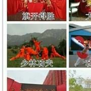 中原武术功夫团