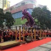 艺舞堂龙狮文化