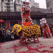 艺舞堂龙狮文化