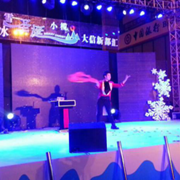 魔艺创意文化魔术团